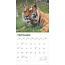 Tiger Calendar 2025