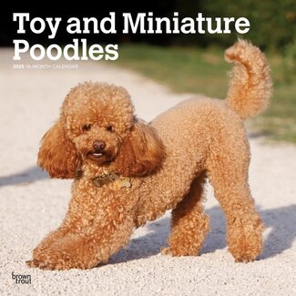 Browntrout Toy and Miniature Poodle Calendar 2025