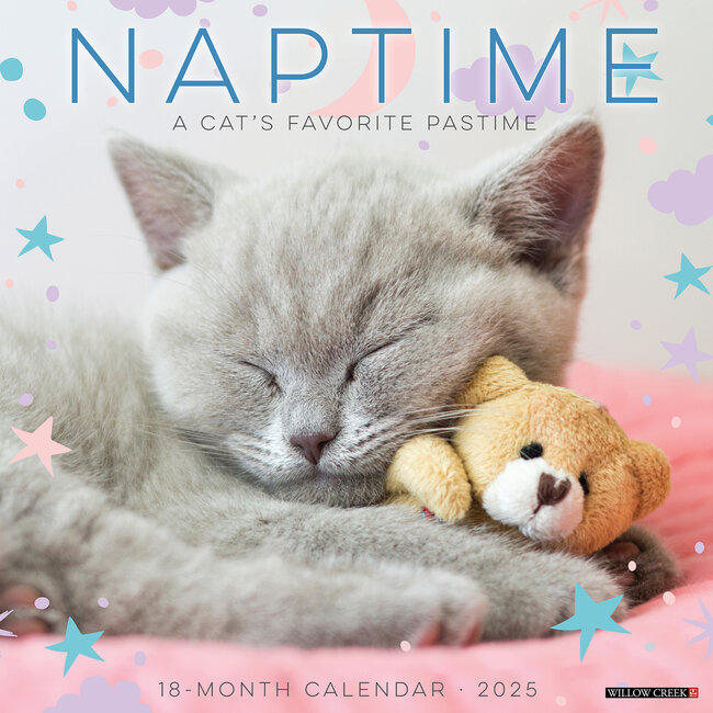 Cat Naps Calendar 2025