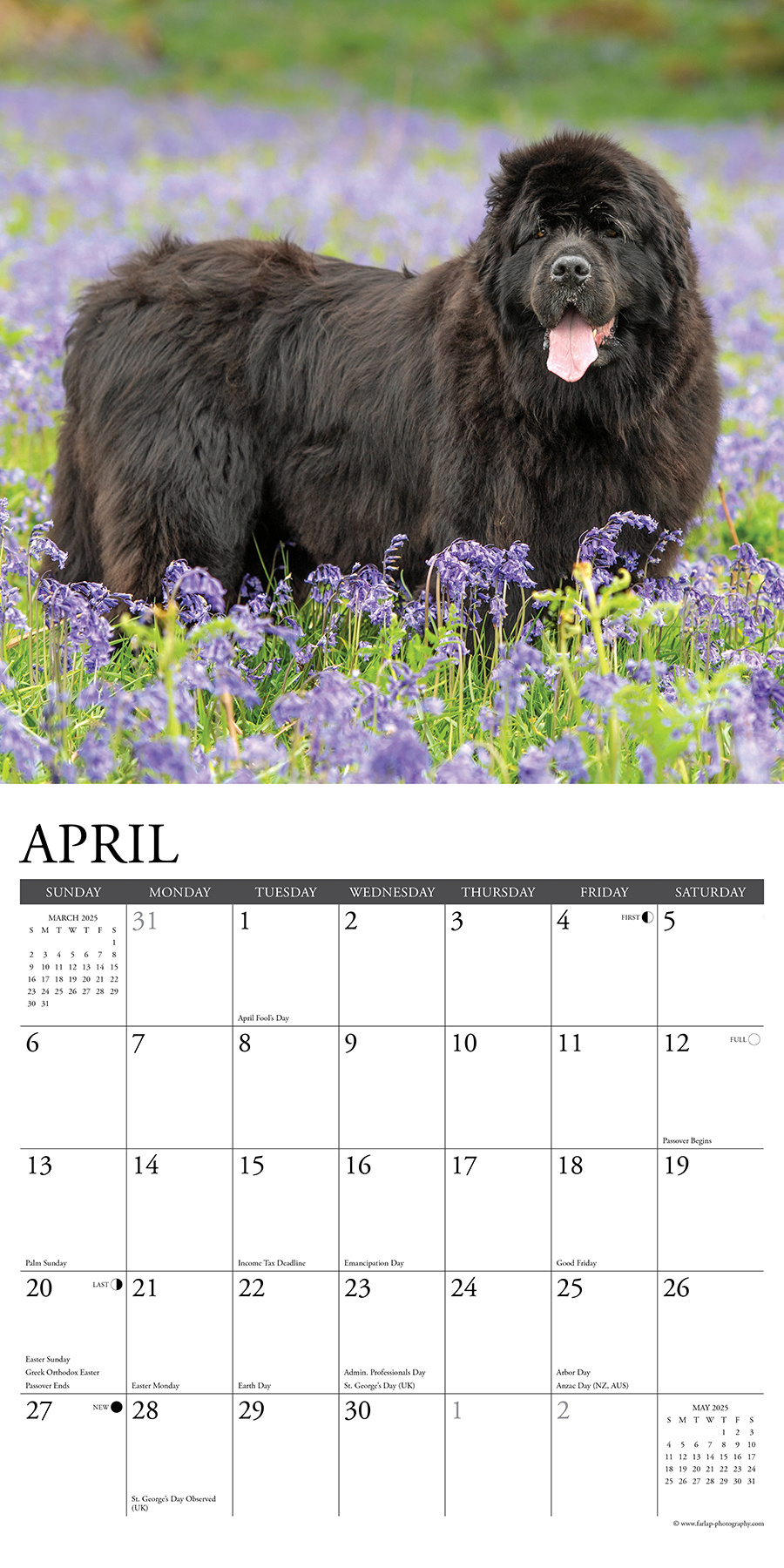 Newfoundland Calendar 2025 Buy Order easily online Kalenderwinkel.nl