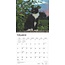 Zwart Wit Katten Kalender 2025