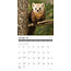 Calendario de la fauna de Northwoods 2025