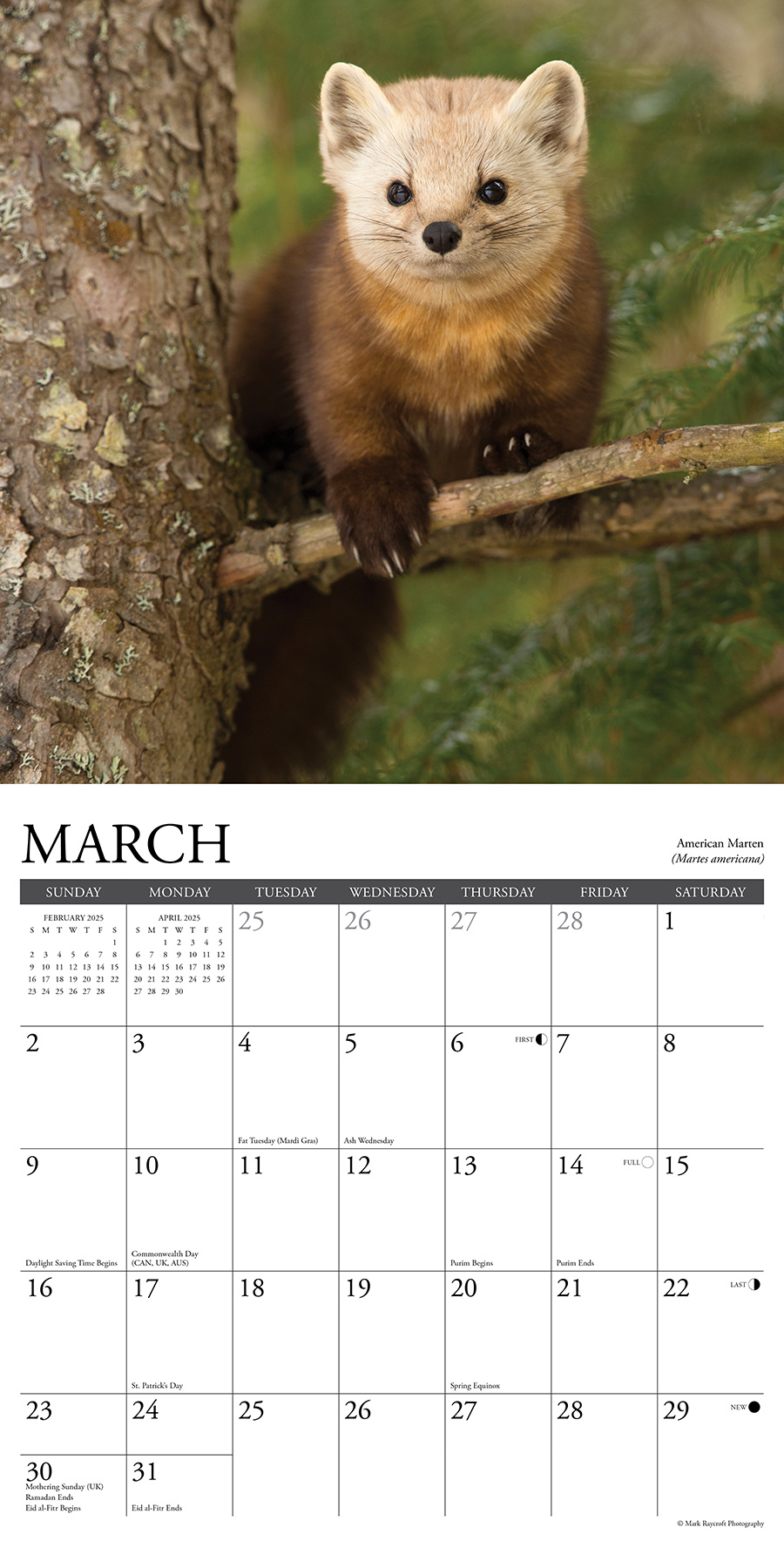 Comprar Northwoods Wildlife Calendar 2025 simplemente haga su pedido