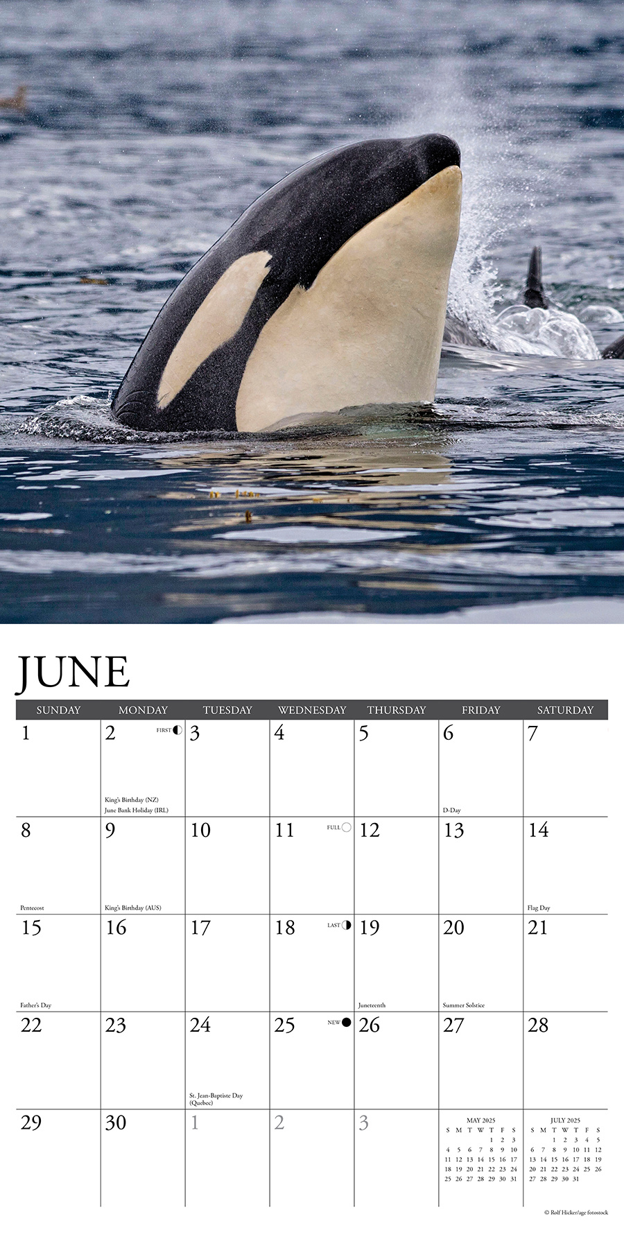 Buying Orca Calendar 2025 simply order online Kalenderwinkel.nl