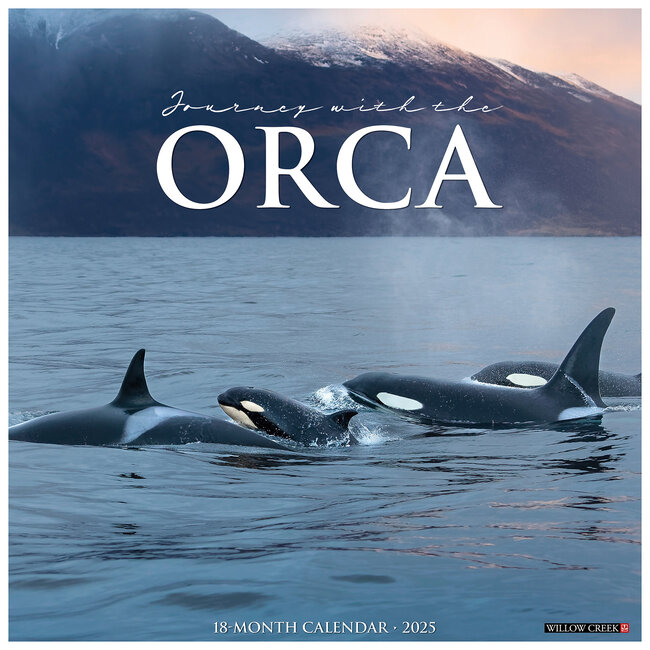 Willow Creek Calendrier Orca 2025