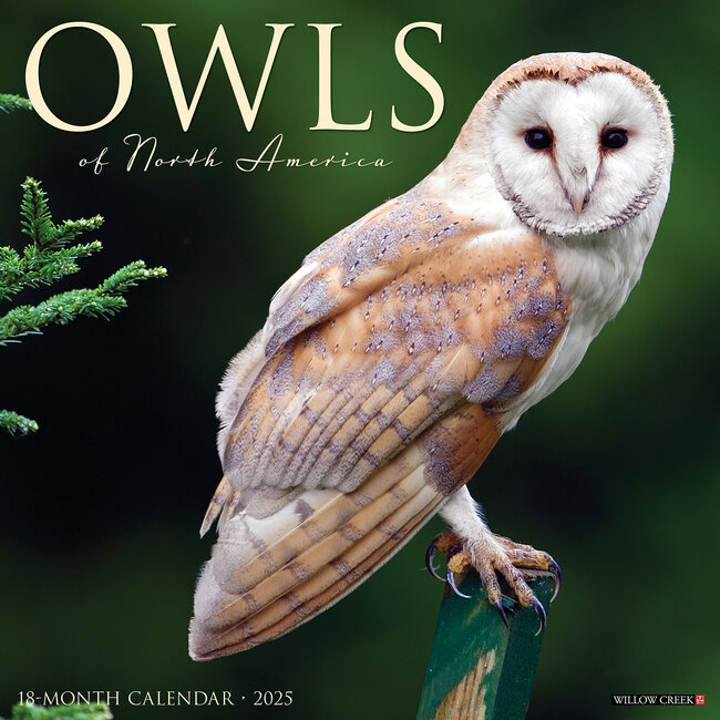 Willow Creek Owls Calendar 2025