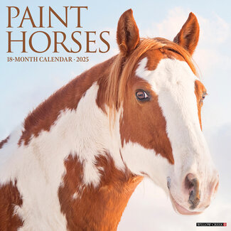 Willow Creek Calendario de caballos de pintura 2025