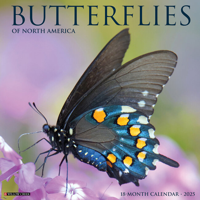 Willow Creek Butterfly Calendar 2025