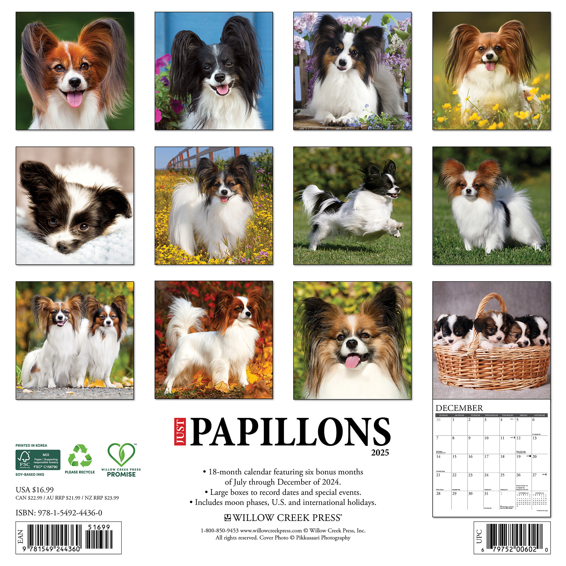 Buying Papillon Calendar 2025 simply order online Kalenderwinkel.nl
