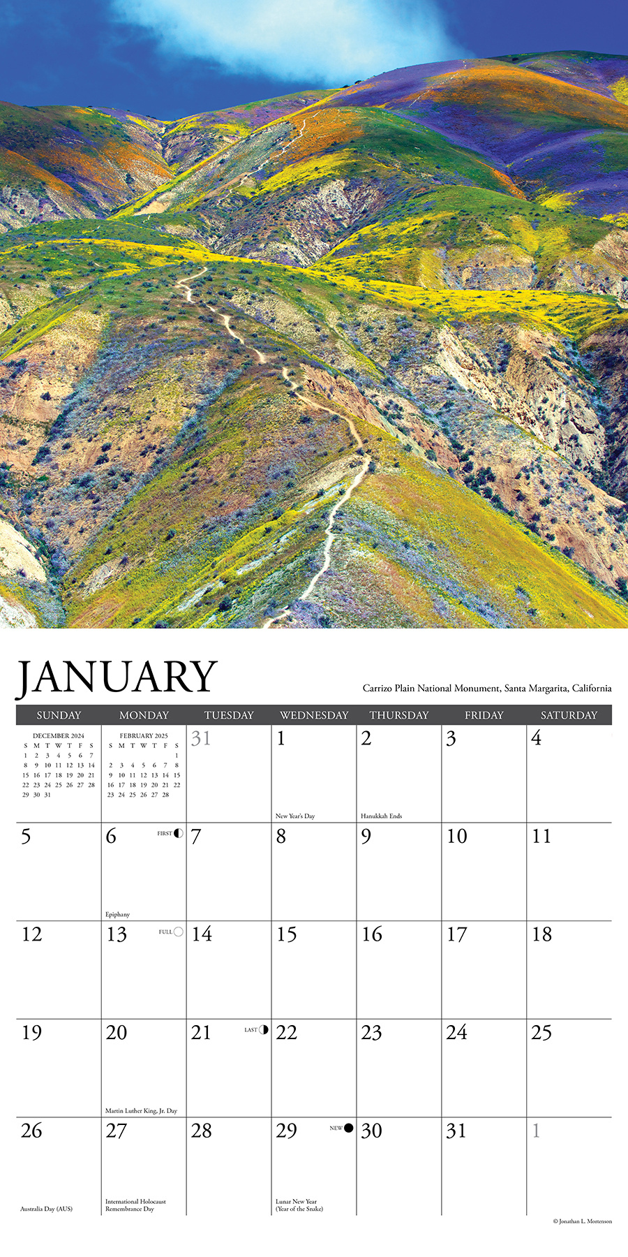 Buying Pathways Calendar 2025 Order easily online Kalenderwinkel.nl