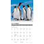 Calendario Pinguino 2025