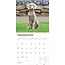 Calendario Weimaraner 2025