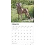 Calendario Weimaraner 2025