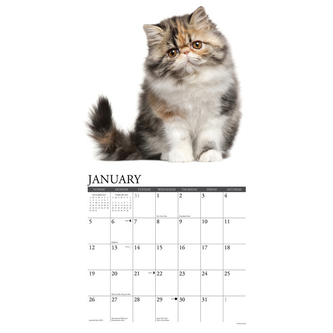 Buy Press Calendar 2025 Order easily online Kalenderwinkel.nl