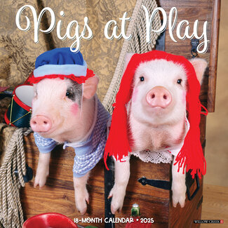 Willow Creek Calendrier "Pigs at Play" 2025