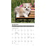 Pomeranian-Welpen Kalender 2025