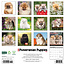 Pomeranian Puppies Kalender 2025