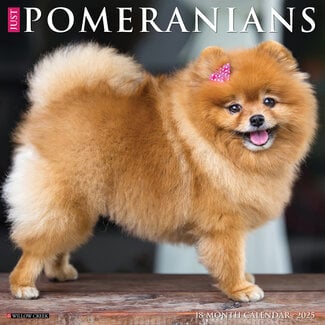 Willow Creek Calendario Pomerania 2025