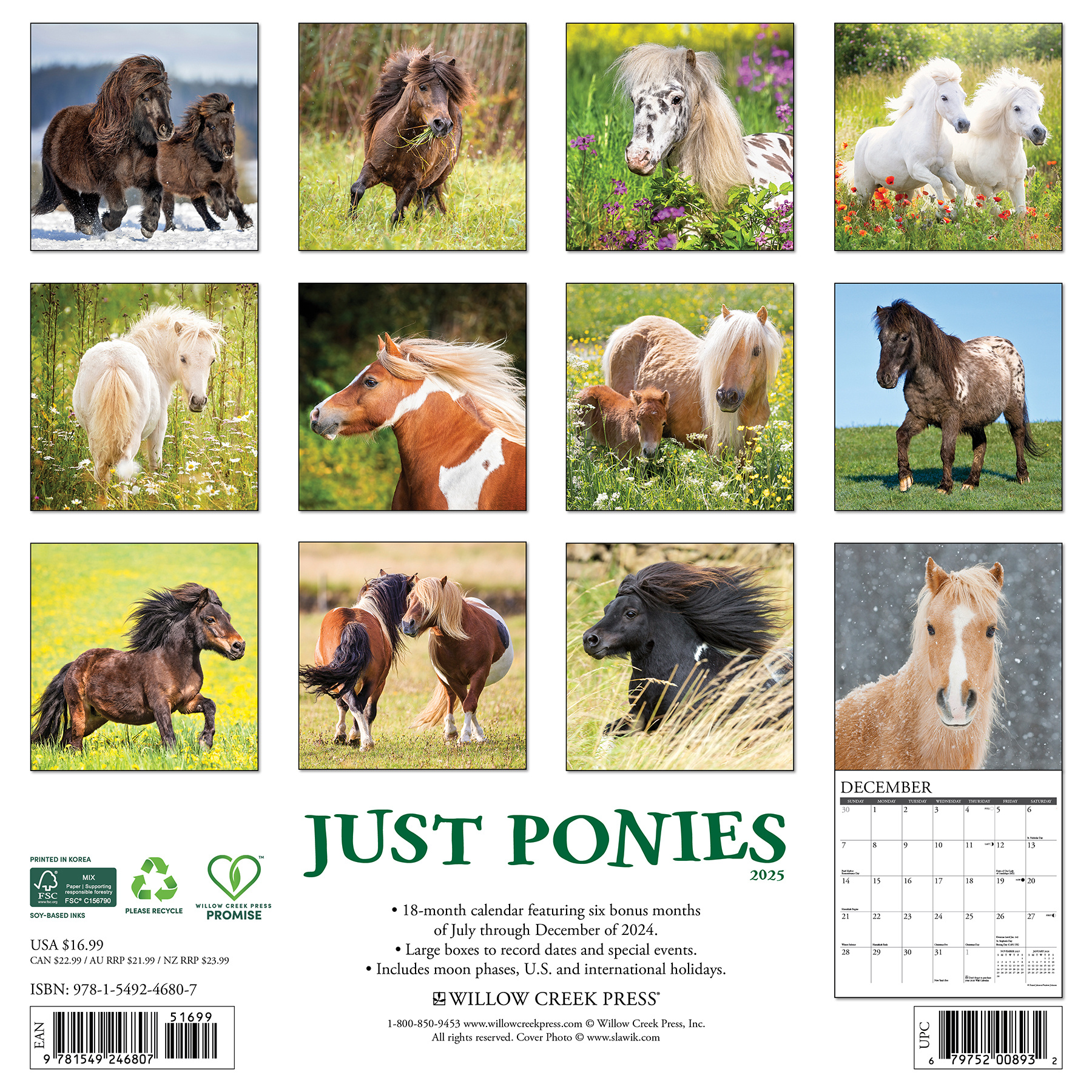 Buying Ponies Calendar 2025? Order online quickly and easily
