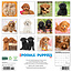 Poedel Puppies Kalender 2025