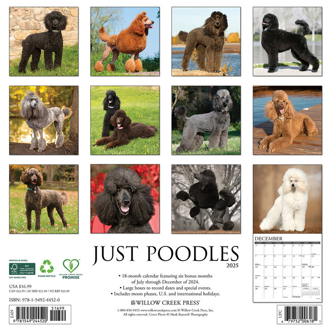Buy Poodle Calendar 2025 Order easily online Kalenderwinkel.nl