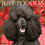 Poodle Calendar 2025