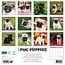 Mopshond Puppies Kalender 2025