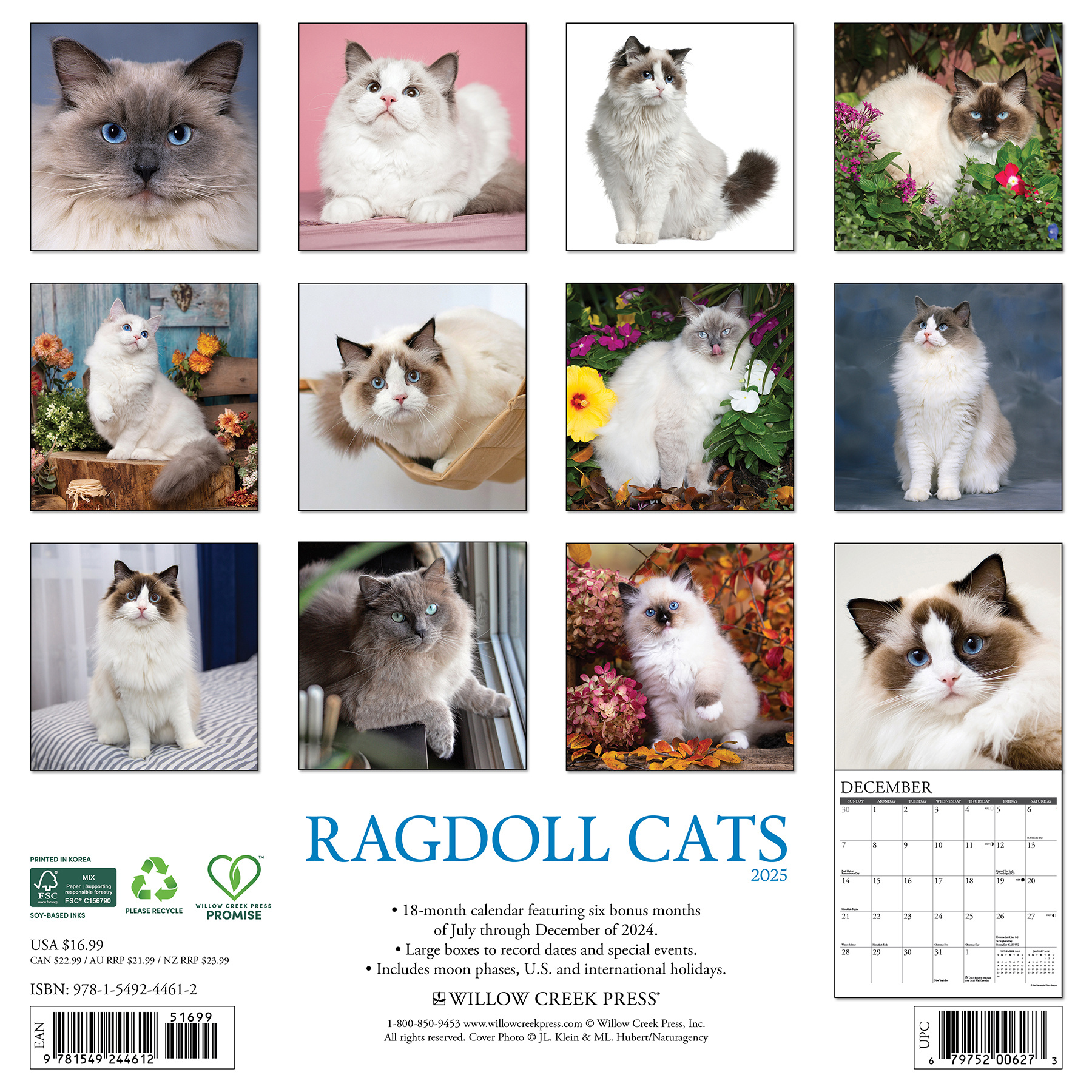 Ragdoll Kalender 2025 Kopen? Bestel eenvoudig Online Kalenderwinkel.nl