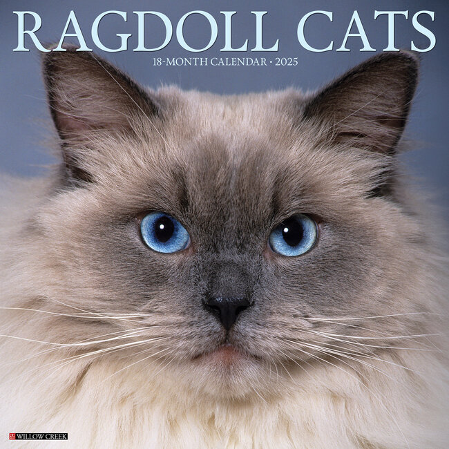 Ragdoll Calendar 2025