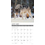 Rocky Mountain Wildlife Kalender 2025