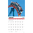 Calendrier Roller Coasters 2025