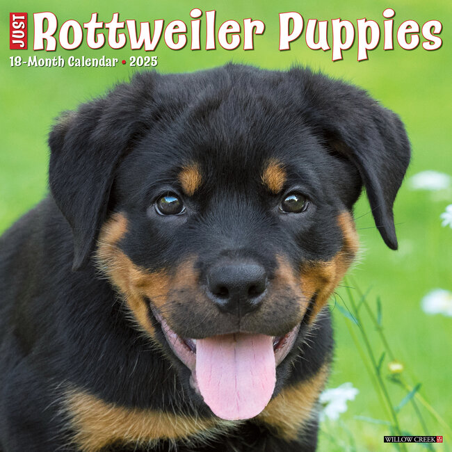 Calendario Cachorros Rottweiler 2025