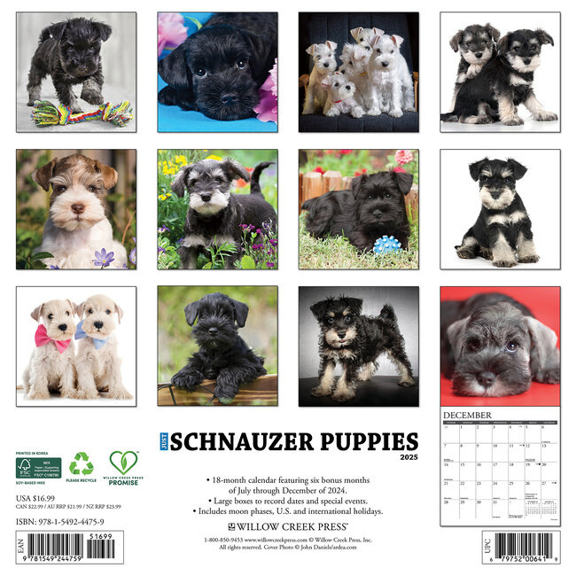 Buy Schnauzer Puppies Calendar 2025 Order online easily