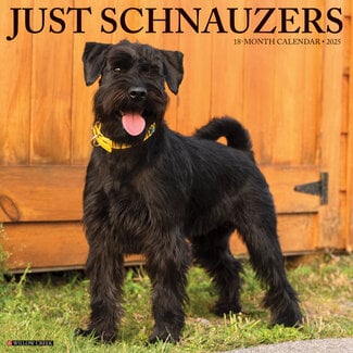 Willow Creek Calendrier Schnauzer 2025