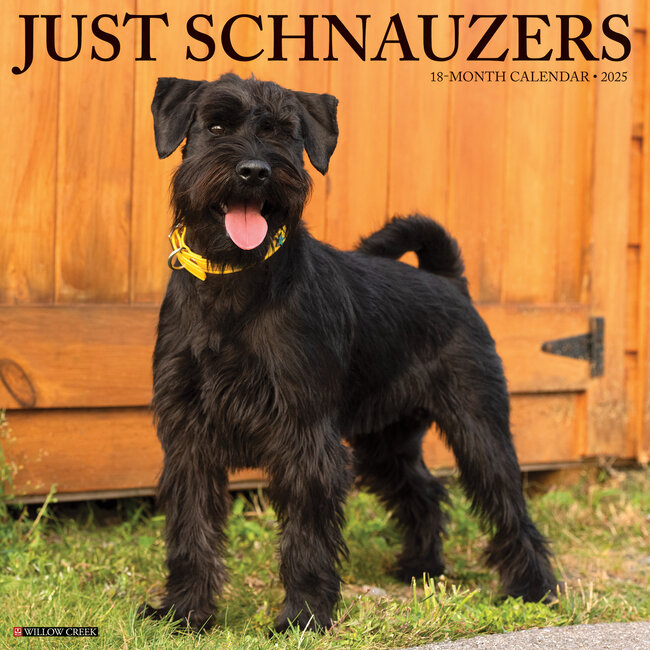 Calendario Schnauzer 2025