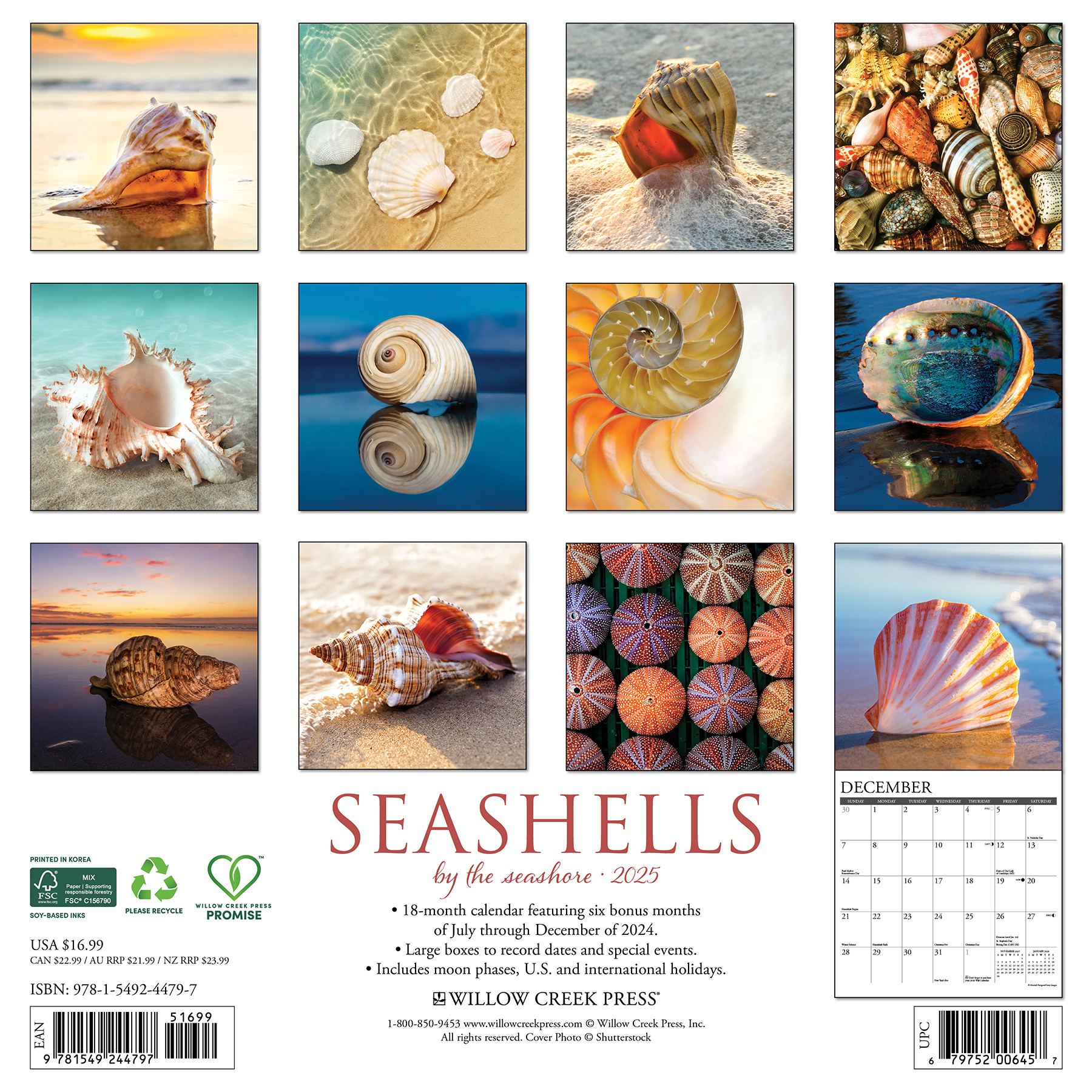 Buying Shells Calendar 2025 Order easily online Kalenderwinkel.nl