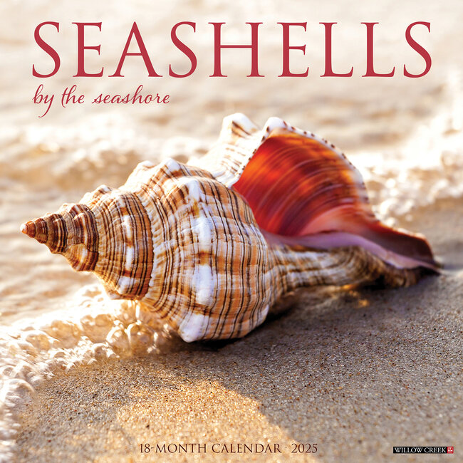 Shells Calendar 2025