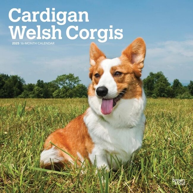 Browntrout Welsh Corgi Calendario 2025 Cardigan