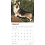 Calendrier Welsh Corgi Pembroke 2025