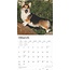 Welsh Corgi Pembroke Kalender 2025