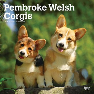 Browntrout Calendario Welsh Corgi Pembroke 2025