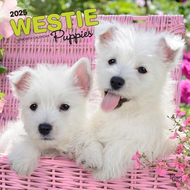 Calendario dei cuccioli di West Highland White Terrier 2025