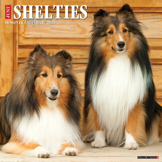 Willow Creek Sheltie - Shetland Sheepdog Kalender 2025