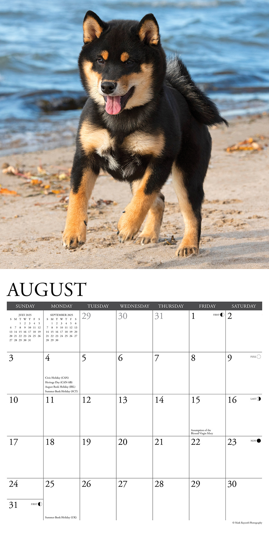 Shiba Inu Kalender 2025 Kopen? Bestel eenvoudig Online