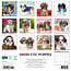 Calendario dei cuccioli di Shih Tzu 2025