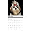 Shih Tzu Kalender 2025