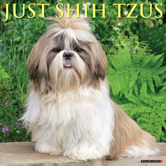 Willow Creek Calendario Shih Tzu 2025