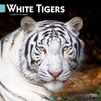 Browntrout White Tiger Calendar 2025