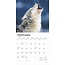 Calendrier des loups 2025