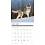 Calendario Husky Siberiano 2025